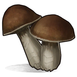 Mushroom Rust Wiki Fandom