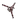 CandyCane icon