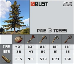 Pine 3 Trees.