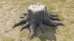Wood stump that can be picked up.
