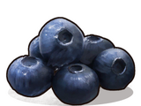 Blueberries