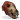 Wolf Skull icon