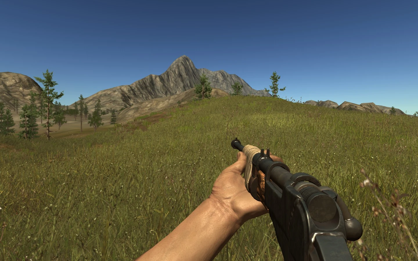 Rust db. Bolt rifle rust. берданка rust.