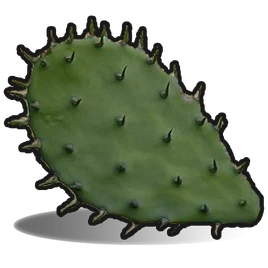 Cactus Flesh icon