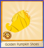 Golden Pumpkin Shoes