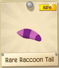 Rare Raccoon Tail