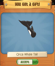 Orca-tail