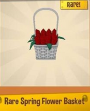 Rare Spring Flower Basket