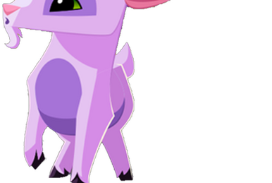 Rare Cone Collar Play Wild Item Worth Wiki Fandom