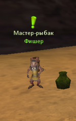 Fis.png