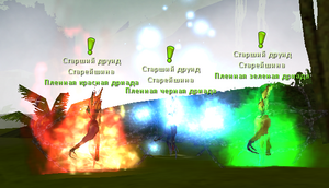 Druidi.png