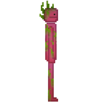 Dragon Fruit (Living) | Melon Playground Wiki | Fandom