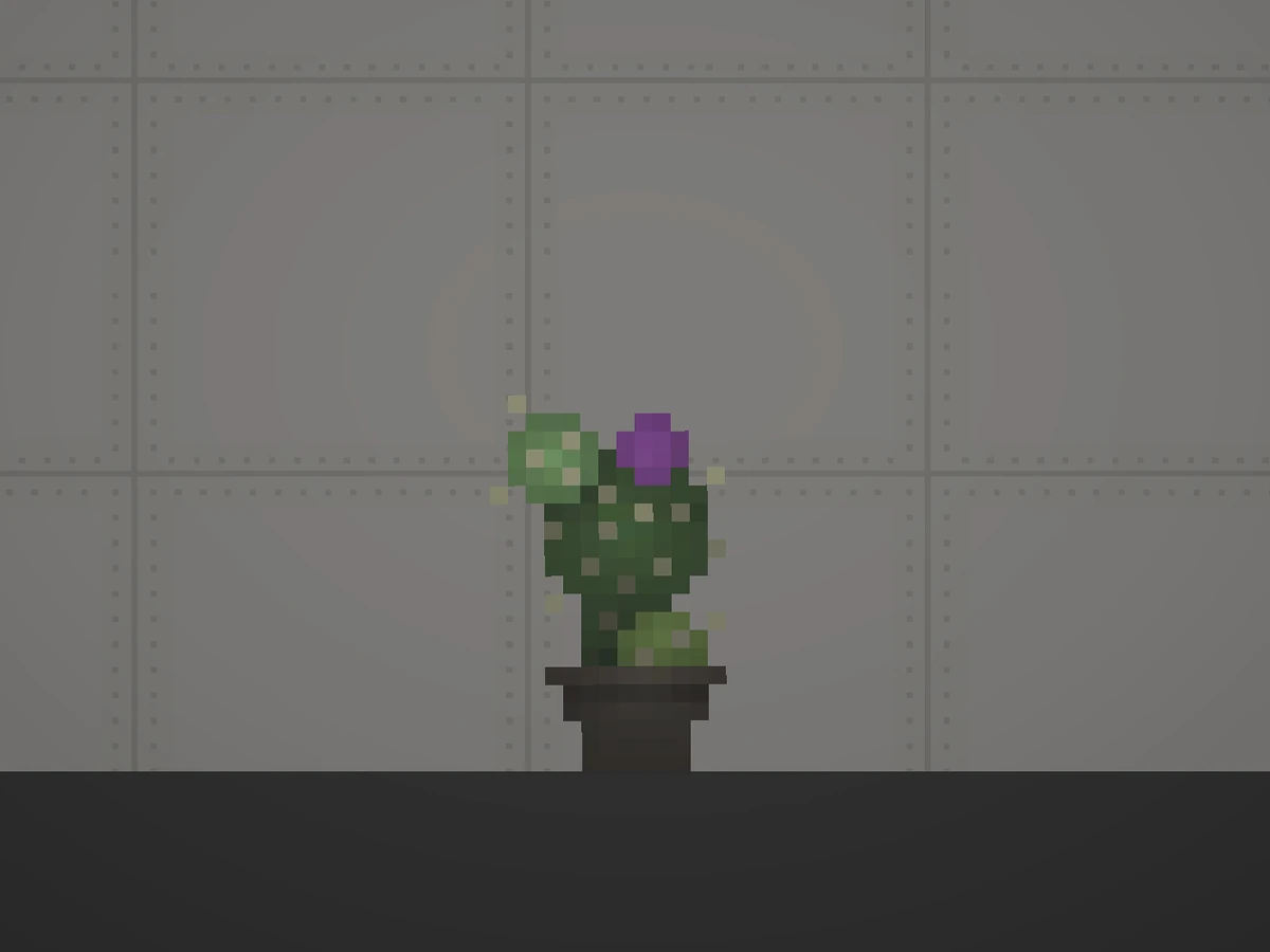 Cactus (Misc) Melon Playground Wiki Fandom