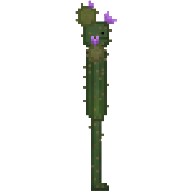 Cactus Melon Playground Wiki Fandom