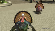 Turkeys in PlayStation Home