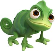 Pascal