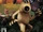 Wallace & Gromit in Project Zoo