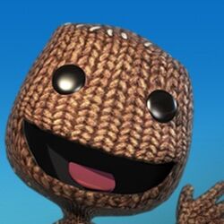 Playstation all stars battle royale sackboy cheap