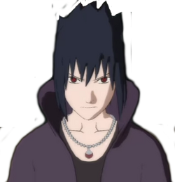 Sasuke ROAD to NINJA