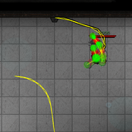 A ghost rope after a BNG push would fall down.