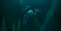 Nokama płynąca przez Srebrne Morze