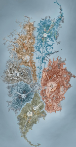 Metru Nui, Miasto Legend