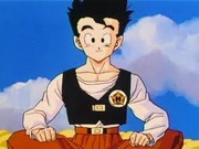 Son Gohan 11