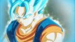 Vegetto Blue