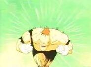 Recoome naciera