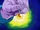 Potara