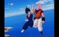 Vegetto vs Bu