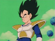 Vegeta Namek