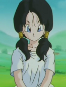 Videl2