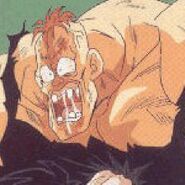 Recoome pobity (3)