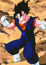 Vegetto