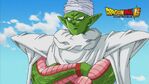 Piccolo w DBS