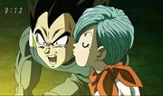 Bulma-Vegeta