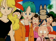 Lunch,Bulma,Wulong, Puar22