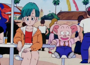 Bulma and Wulong