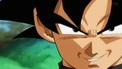 Black Gokū.png (767 KB)