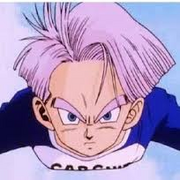 Future trunks 8