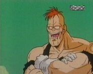 Recoome pobity (1)