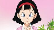 Videl (DBS, odc. 001)