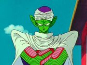 Piccolo1