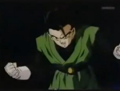 Gohan vs hildegarn