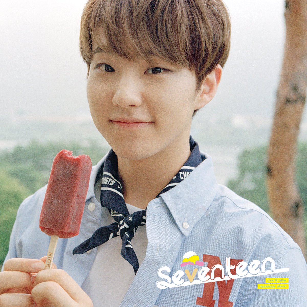 Hoshi | Pledis 17 Wiki | Fandom