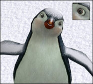 Penguin BrownAndBlueEye
