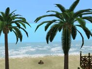 Beach or not to beach.jpg