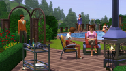 TS3IWP Screen 6