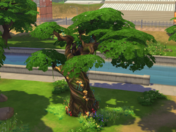 TS4 Magiczne drzewo